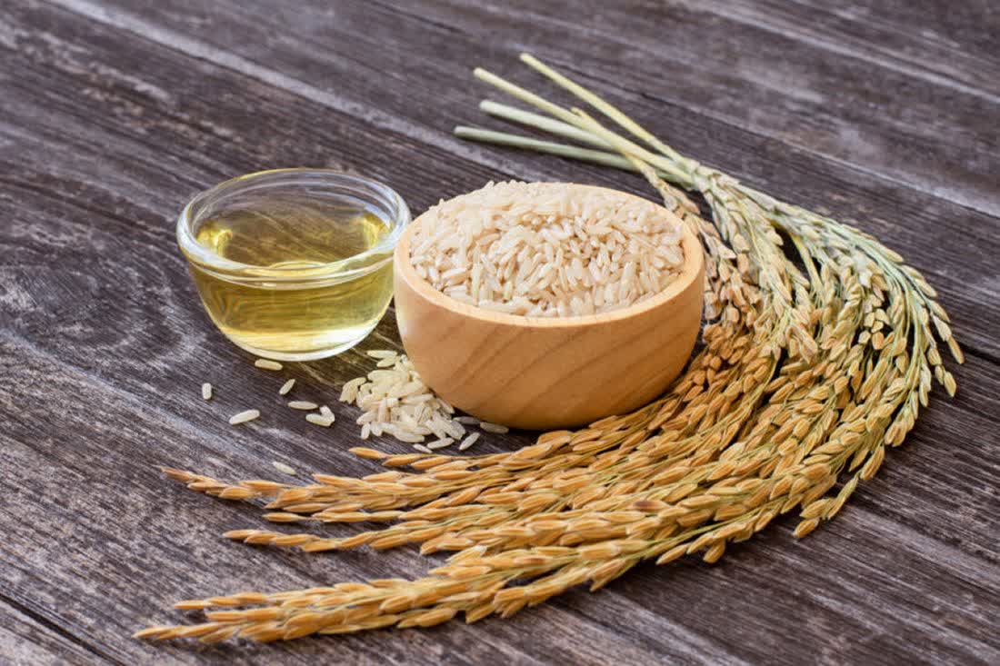 روغن برنج: خواص، کاربردها و فواید سلامتی